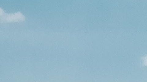 La mayoría de estos vehículos son modelos que mucha gente busca