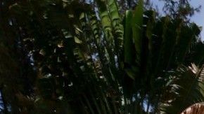 Una casa con piscina puede ser una utopía atractiva por todos los cuidados que conlleva.