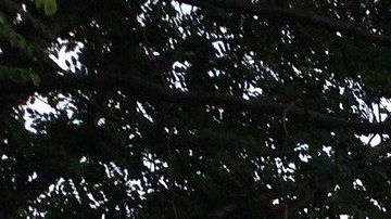 Quizás quieras vender rápido, pero toma estas precauciones.