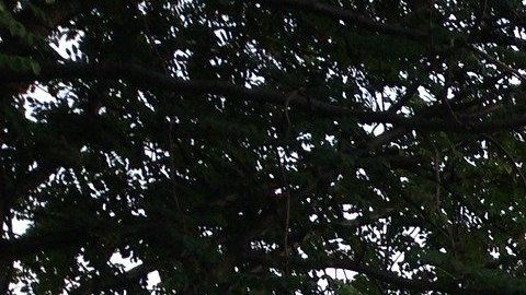 Quizás quieras vender rápido, pero toma estas precauciones.