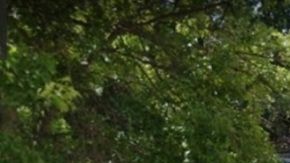 1000 Old Nichols Road, Long Island