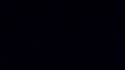 Ni Sanders, ni Biden son los enemigos.