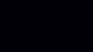 Bernie Sanders (i) y Joe Biden son grandes amigos fuera de las contiendas de campaña.