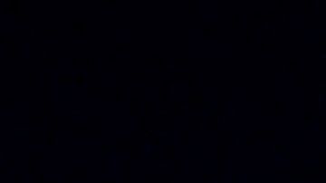 Bernie Sanders (i) y Joe Biden son grandes amigos fuera de las contiendas de campaña.