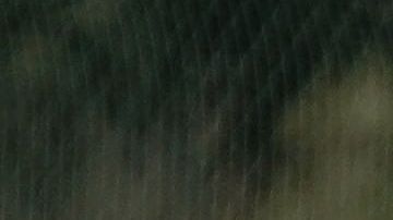 Hirving ‘Chucky’ Lozano pudo haber tenido minutos en este duelo.