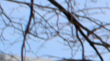 4 mil sedes restantes siguen abiertas