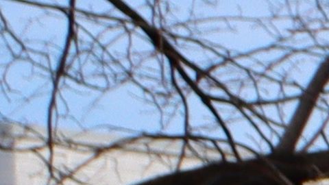 4 mil sedes restantes siguen abiertas