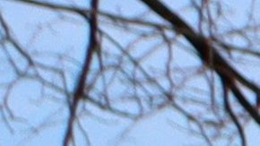 JP Morgan Chase anunció que no financiará las explotaciones petroleras en el Ártico.