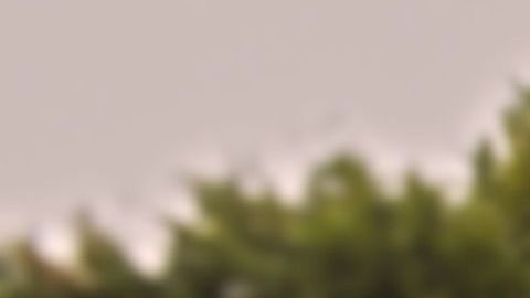 Los niños no toman precauciones correspondientes con su higiene.