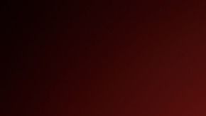 El cacao es el alimento que más contiene teobromina, aunque no es el único.