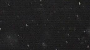 Diego Simeone, técnico del Atlético de Madrid.