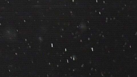 Diego Simeone, técnico del Atlético de Madrid.