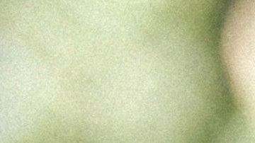 Ayúdale a dar ese gran paso.