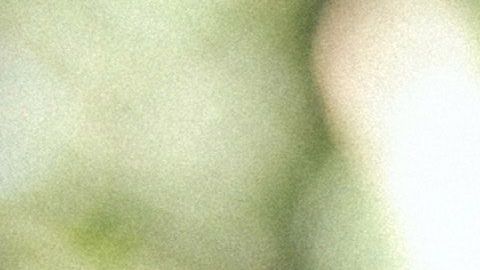 Ayúdale a dar ese gran paso.