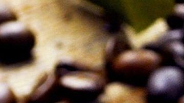 El café orgánico ayuda a preservar el medio ambiente.