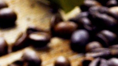 El café orgánico ayuda a preservar el medio ambiente.
