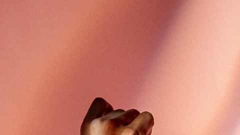 Otra modificación fue que separaron a las garzas, cuyas patas entrelazadas formaban la letra “M” en el escudo.