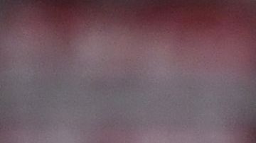 El futbolista tiene 17 años y ya marcó gol con el Borussia Dortmund.