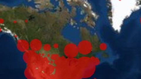 Hay 175 países con casos.