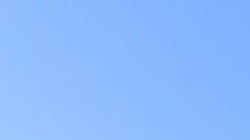 Un crucero de la empresa Carnival Cruise Lines.