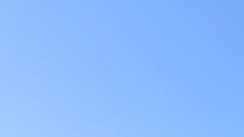 Un crucero de la empresa Carnival Cruise Lines.