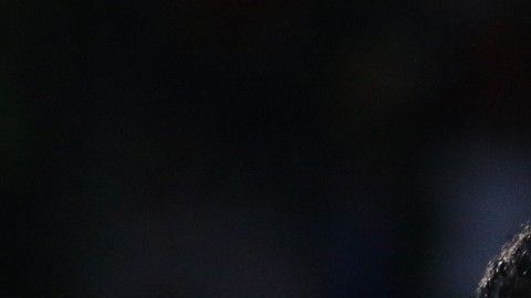 Robert Dante Siboldi ha sabido acomodar sus piezas para mantener la intensidad en su juego.