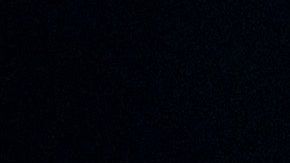 Con Biden los Demócratas sueñan volver a la Casa Blanca