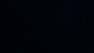 Con Biden los Demócratas sueñan volver a la Casa Blanca