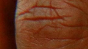 La Junta de Apelaciones de Zonificación de la ciudad denegó una solicitud de permiso de uso especial de la empresa Green & Randle y Nature's Grace and Wellness.