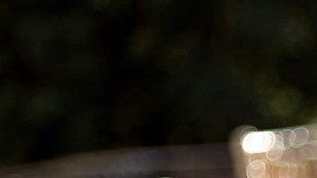 Habían contratado al autobús para acudir a la boda.