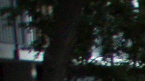 Muchas familias temen ser desalojados con el COVID-19 rondando en el país.