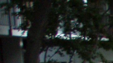 Muchas familias temen ser desalojados con el COVID-19 rondando en el país.