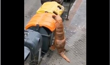 Las personas recurren a todo para protegerse.