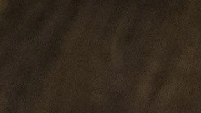 Una nueva bebé puercoespín llegó a Disney’s Animal Kingdom.