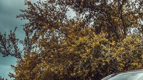 El auto ha mostrado ser un icono de Estados Unidos y no dejará de lado su potente motor HEMI V8.