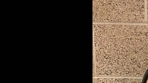 Anayeli Dominguez Pena