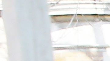 Elizabeth Warren en el Súper Martes.