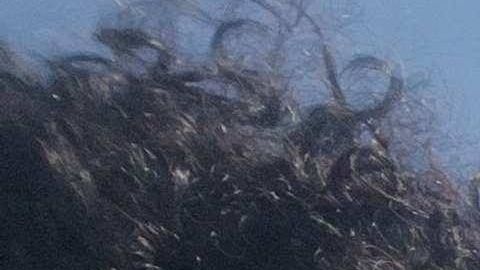 El director de cine Ricardo Figueredo (i) junto al director de fotografía Hansel Leyva, ofrecen sus filmes cubanos en Facebook.