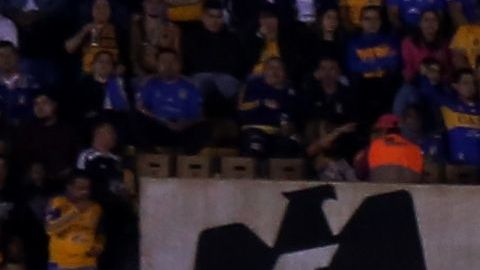 Gignac, "El Rey del Gol" en Monterrey.