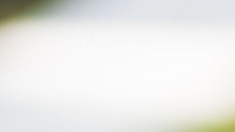 Hay una fuerte creación de empleo que se teme no es sostenible dado el avance de la enfermedad./Shutterstock