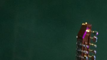 Los Tigres del Norte no cancelaron su presentación durante el multitudinario concierto.