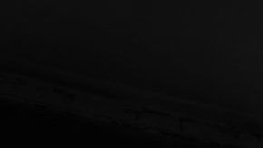 Existen seres de oscuridad y de luz.