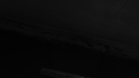 Existen seres de oscuridad y de luz.