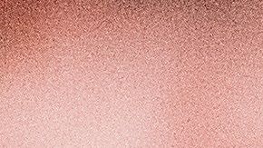 Los propietarios constantemente cometen errores al cuidar de su primera mascota.