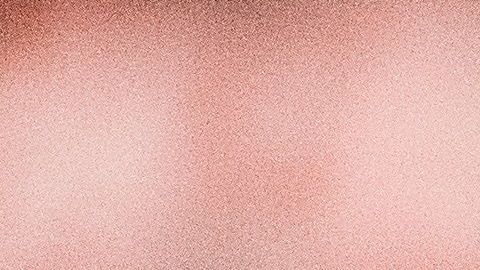 Los propietarios constantemente cometen errores al cuidar de su primera mascota.