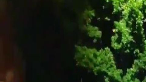 Escena del crimen México