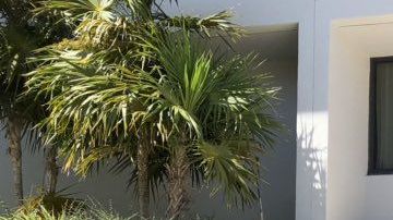 Imagen de la conferencia de prensa con los alcaldes de Miami Beach y Fort Lauderdale.