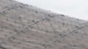 Por primera vez, la Eurocopa se realizará en diferentes países del continente.