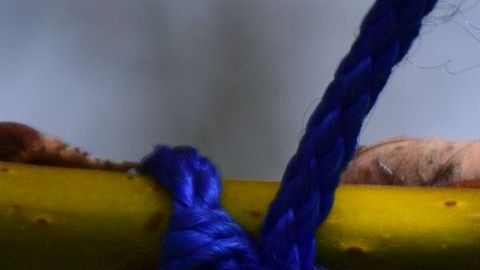 Cada signo tiene un amuleto protector.