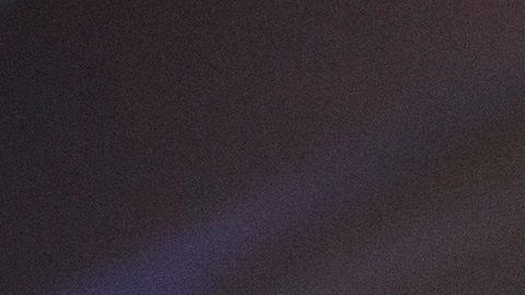 Donald Trump en rueda de prensa.